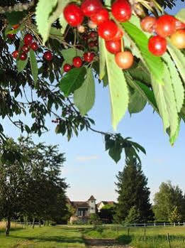 Domaine De Borie Chambres D'Hotes Bretenoux Exteriér fotografie